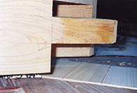 �����߃I�X��