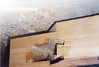 �����߃V���W�p�̍a�����